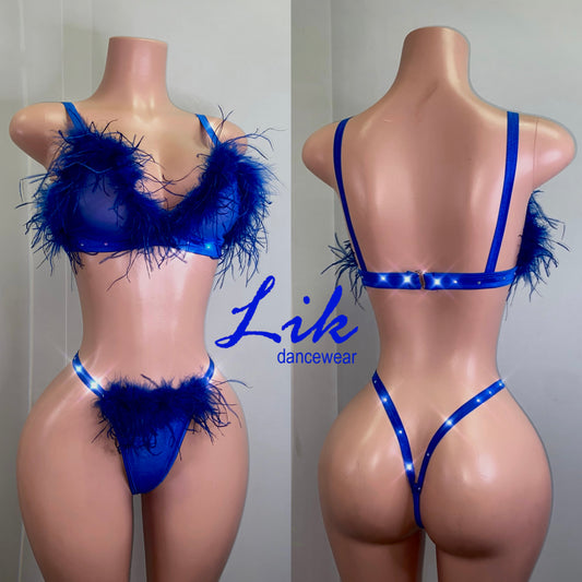 Felt Feather Trimmed Mesh Two Piece Set with Rhinestones for Exotic Dancers