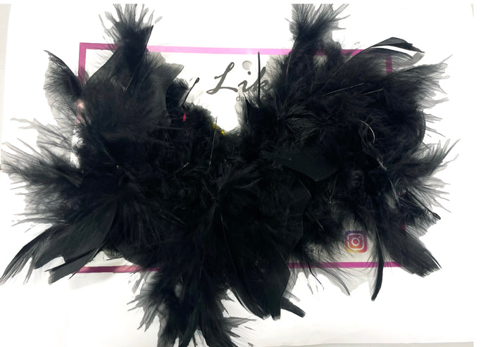 Feather Pasties for pole dancing